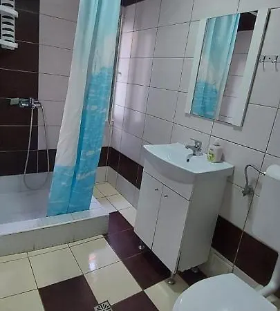 Casa Francisc 招待所 3*