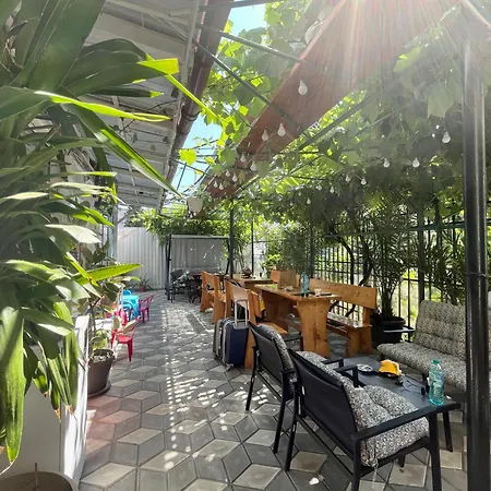 招待所 Casa Francisc